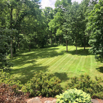 Lawn Services