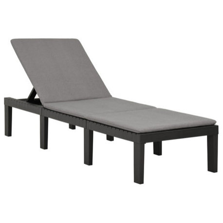 vidaXL Patio Lounge Chair Sunbed Sunlounger with Cushion Plastic Anthracite