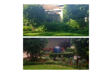 マイアミにあるおしゃれな庭の写真