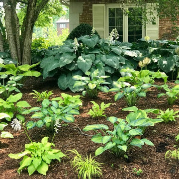 Before and After - curb appeal, boxwoods