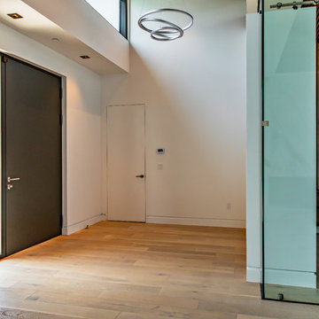 California Modern Entry Door
