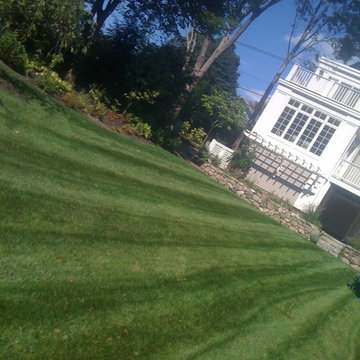 Organic lawn