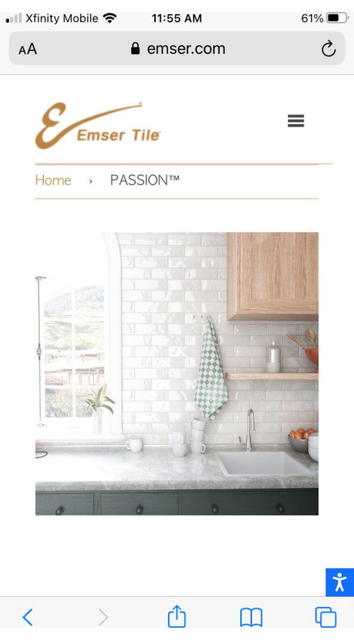 would this be a good substitute for bedrosians Cloe tile? | Houzz Forum