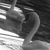 Buthaina Alkindi's photo
