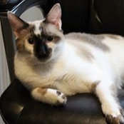 Doreen Killoran's photo