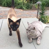 Martha Goss's photo
