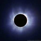 Michael Halper's photo