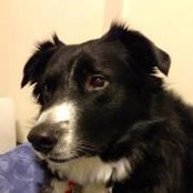 Heather Offord's photo