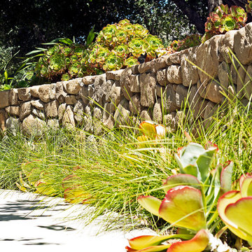 New 1-Year-Old Garden