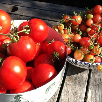Edible and Natives in Oakland