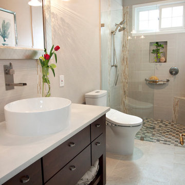 San Mateo guest bathroom remodel
