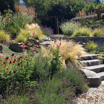 Audubon Certified Backyard Habitat
