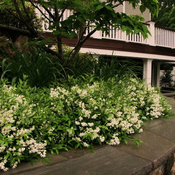 Warwick Landscaping Renovation