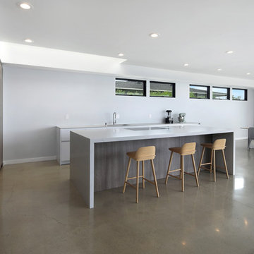 Contemporary Oasis
