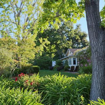 Shaded Lawn Garden with Mature Tree