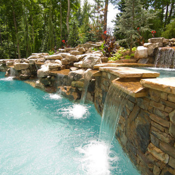 Free Form Swimming Pool: Dive into Timeless Elegance