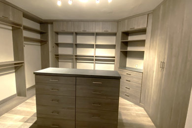 Example of a minimalist closet design in Seattle