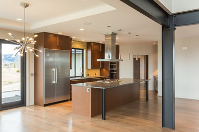 Kitchen - contemporary kitchen idea in Other with stainless steel appliances and an island
