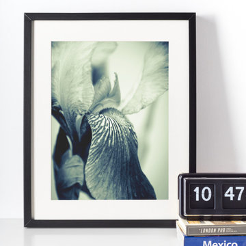 Abstract Japanese Iris Delight Flower Floral Nature Wall Art Prints