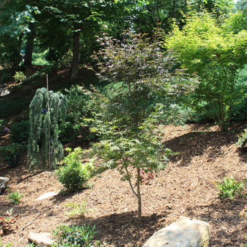 Hillside Gardening
