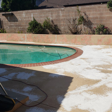 Backyard clean up and remodel