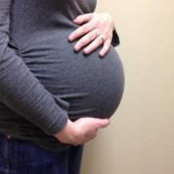 Dawn Goshorn's photo