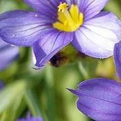 Jackie Aubrey's photo