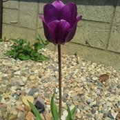 RaylenenTravis Snider's photo