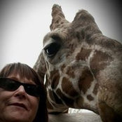 Foto von Tracy Davis