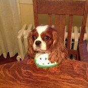 Patrick Johnson's photo