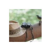 Leslie Straub's photo
