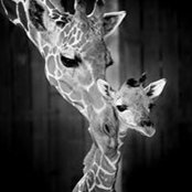 Kristina Marzolf's photo