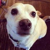 Connie Gunter's photo