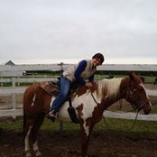 Louise Turcotte's photo