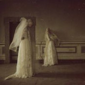 Adam Hutchins's photo