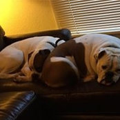 Foto de Whitney Ackermann
