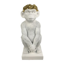 Monkeys