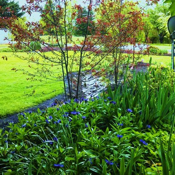 Master Gardener Landscape Makeover Rain Garden
