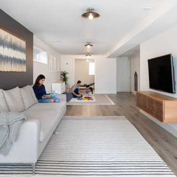 Magnolia Basement Remodel