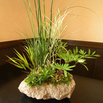 草盆栽・野草の寄せ植え