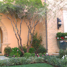 garden ideas