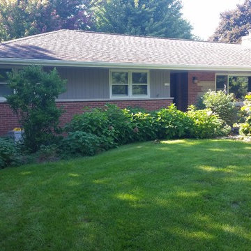 sycamore mulch-less conversion