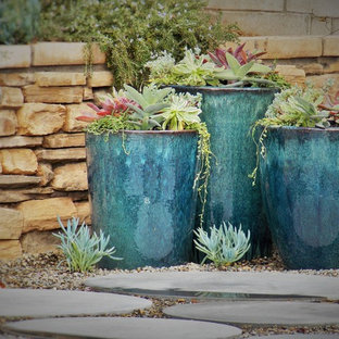 Eklektischer Garten im Frühling, hinter dem Haus mit Kübelpflanzen, direkter Sonneneinstrahlung und Betonplatten in Orange County