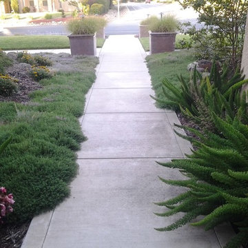 Elk Grove Residence