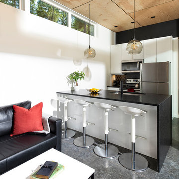 Tiny Houses in the Woods