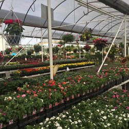 Spring Flowers, trees and shrubs. - Products