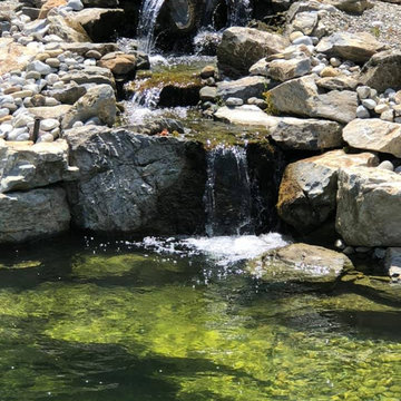 Large koi pond in Howell, NJ
