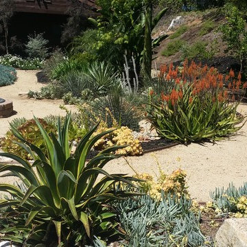 Rancho San Diego Mediterranean Garden