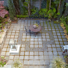 Karly's Backyard