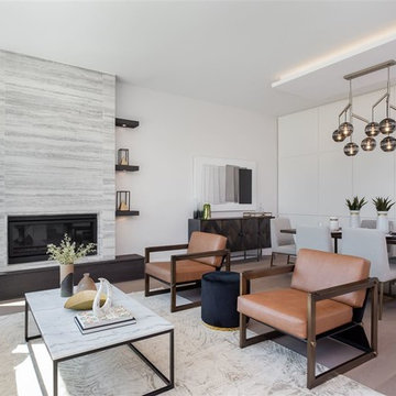 Living Room - Transitional